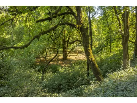 0 NE Williamson Rd, Newberg, OR 97132 photo 6