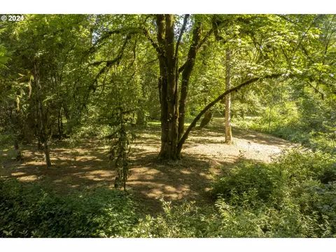 0 NE Williamson Rd, Newberg, OR 97132 photo 5