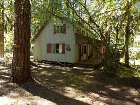 Cabin 184 Northwoods, Cougar, WA 98616