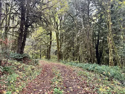 0 Pebble Creek Rd, Vernonia, OR 97064