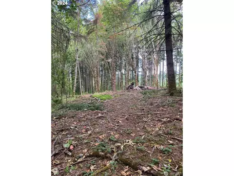 0 Spirit Lake Hwy, Silverlake, WA 98645