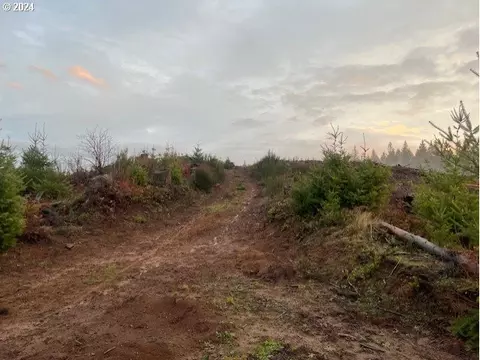 ridge rd, Buxton, OR 97109