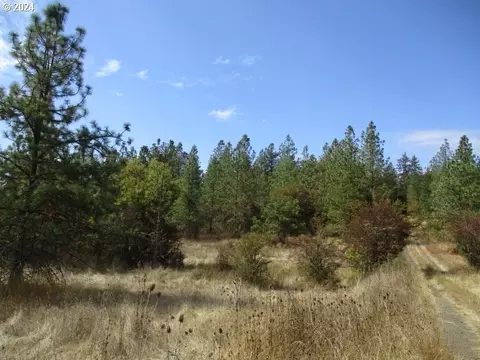 0000 Bellinger Scale Rd, Lebanon, OR 97355