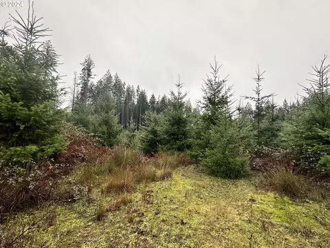 0 Rabinsky Rd, Scappoose, OR 97056