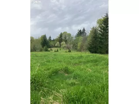 0 Anliker Rd, Deer Island, OR 97054