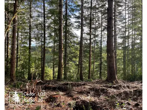 little woahink dr, Florence, OR 97439