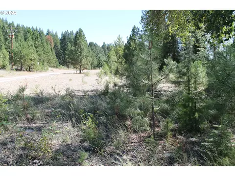 Oak St., Sumpter, OR 97877