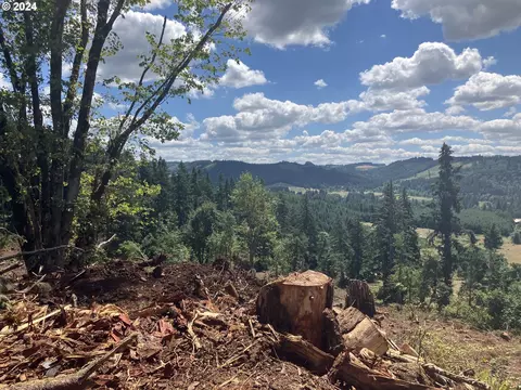 6543 Indian Springs Rd, Scotts Mills, OR 97375