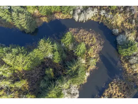 Walluski Loop, Astoria, OR 97103 photo 14