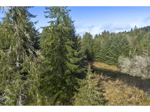 Walluski Loop, Astoria, OR 97103 photo 18