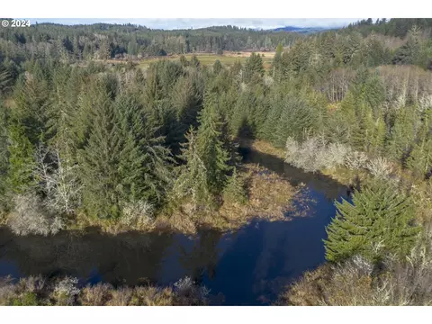 Walluski Loop, Astoria, OR 97103 photo 17