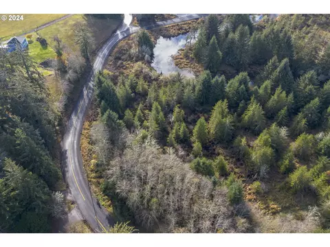 Walluski Loop, Astoria, OR 97103 photo 10