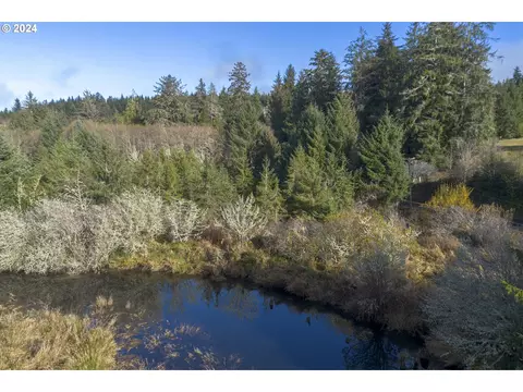 Walluski Loop, Astoria, OR 97103 photo 19