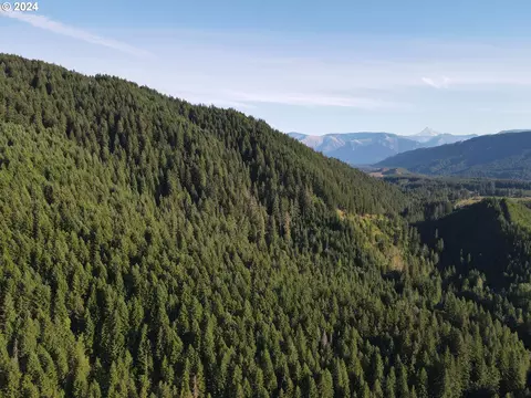 Cedar Creek Rd, Carson, WA 98610