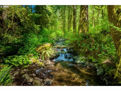 14005 Bauer Rd, Neskowin, OR 97149