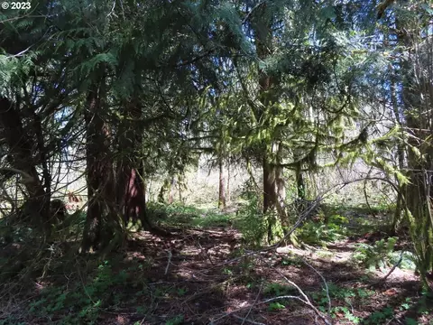 241 Sand Creek Ln, Morton, WA 98356