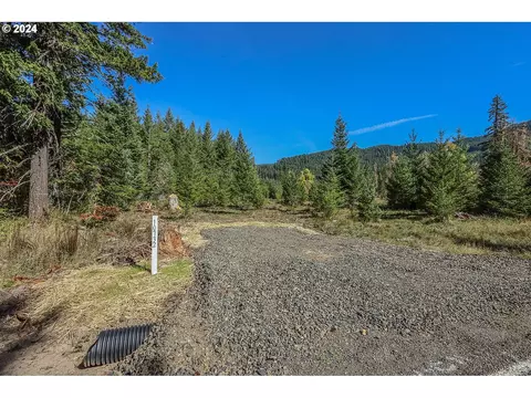 10732 Wind River Hwy, Carson, WA 98610