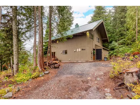 30641 E Darr Rd, Government Camp, OR 97028