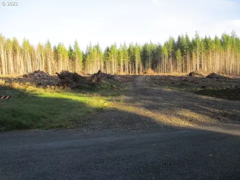 000 Mcdonald Rd, Vernonia, OR 97064