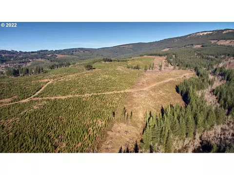 4 NE Jones Rd, Camas, WA 98607