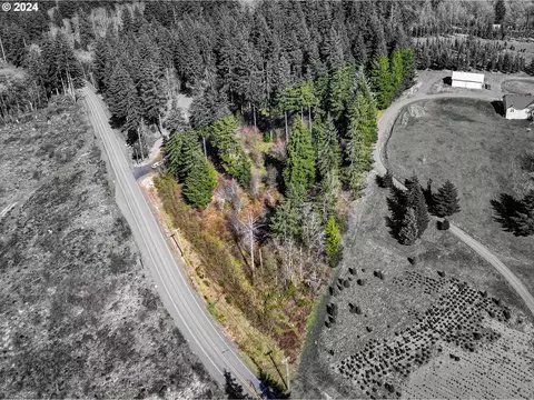 19830 Sharon Tony Way SE, Silverton, OR 97381