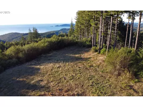 0 China Mountain Rd, Port Orford, OR 97465