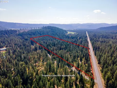 Stadelman Dr, Trout Lake, WA 98650