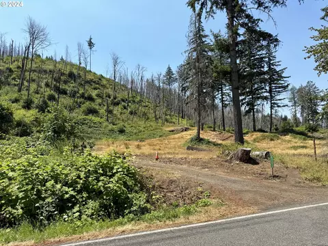 47232 Goodpasture Rd, Vida, OR 97488