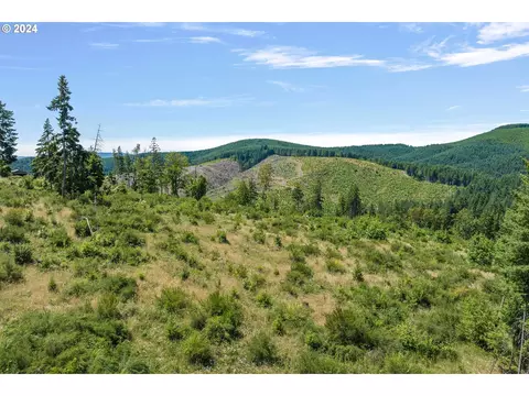 47608 NW Chysler Dr #2, Banks, OR 97106