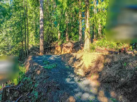 levage dr, Florence, OR 97439 photo 6