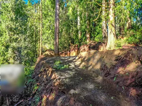 levage dr, Florence, OR 97439 photo 5