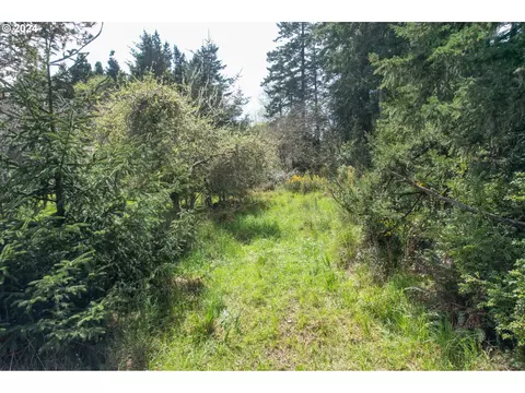 87768 Bill Creek Ln, Bandon, OR 97411