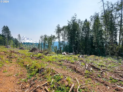 26422 SE 452nd Ave, Sandy, OR 97055