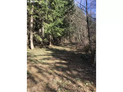 0 NE 341st Ave, Washougal, WA 98671
