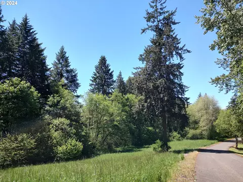 NE 294th Cir, La Center, WA 98629