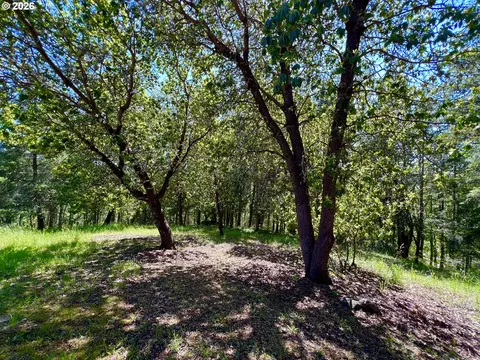 Other - 28544 Crow Rd, Eugene, OR 97402 photo 18 of 20