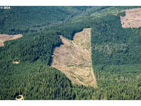 Cedar Flat Rd, Williams, OR 97544