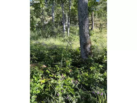 coyote ct, Mosier, OR 97040 photo 9
