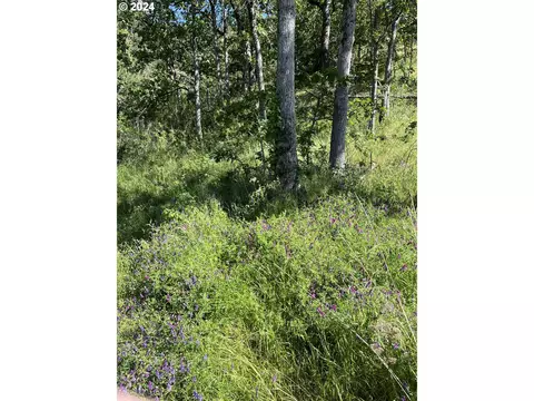 coyote ct, Mosier, OR 97040 photo 2