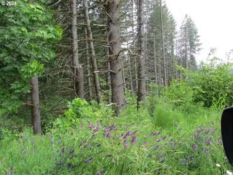 0 NW Fairdale Rd, Yamhill, OR 97148