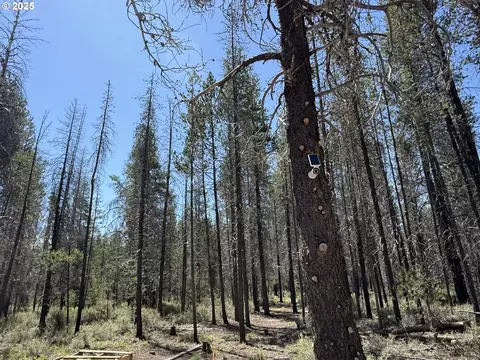 munson drive, Chiloquin, OR 97624 photo 17