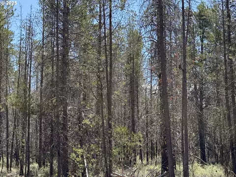 munson drive, Chiloquin, OR 97624 photo 35