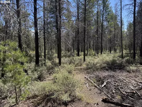 munson drive, Chiloquin, OR 97624 photo 5