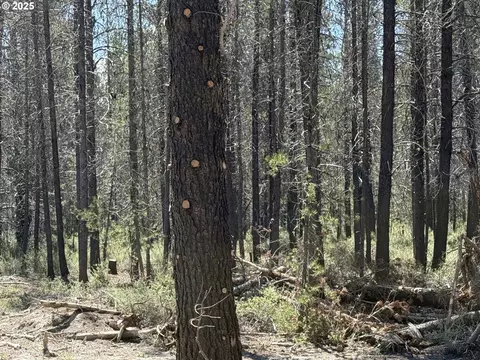munson drive, Chiloquin, OR 97624 photo 19