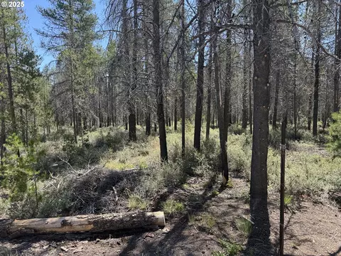 munson drive, Chiloquin, OR 97624 photo 8