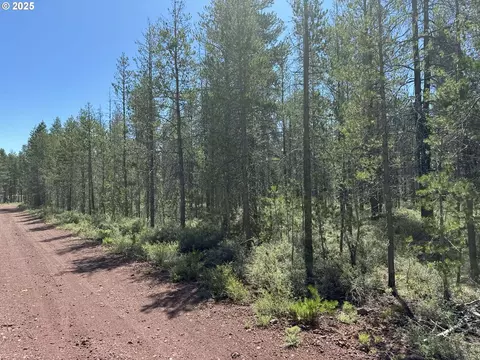 munson drive, Chiloquin, OR 97624 photo 12