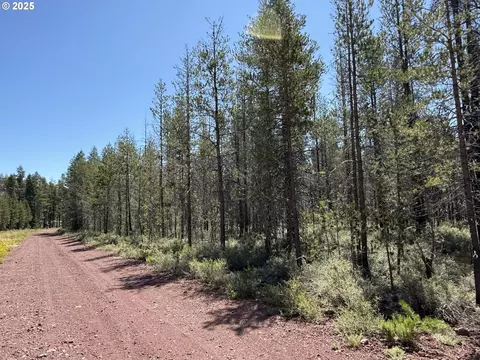 munson drive, Chiloquin, OR 97624 photo 26