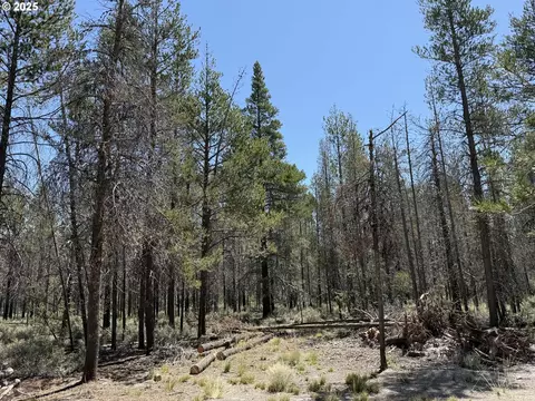 munson drive, Chiloquin, OR 97624 photo 33