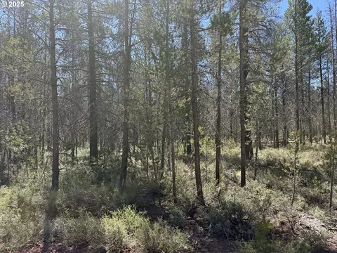 munson drive, Chiloquin, OR 97624 photo 15