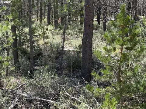munson drive, Chiloquin, OR 97624 photo 31